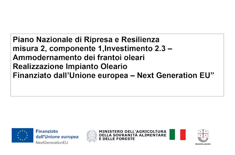 Ammodernamento Frantoi Oleari